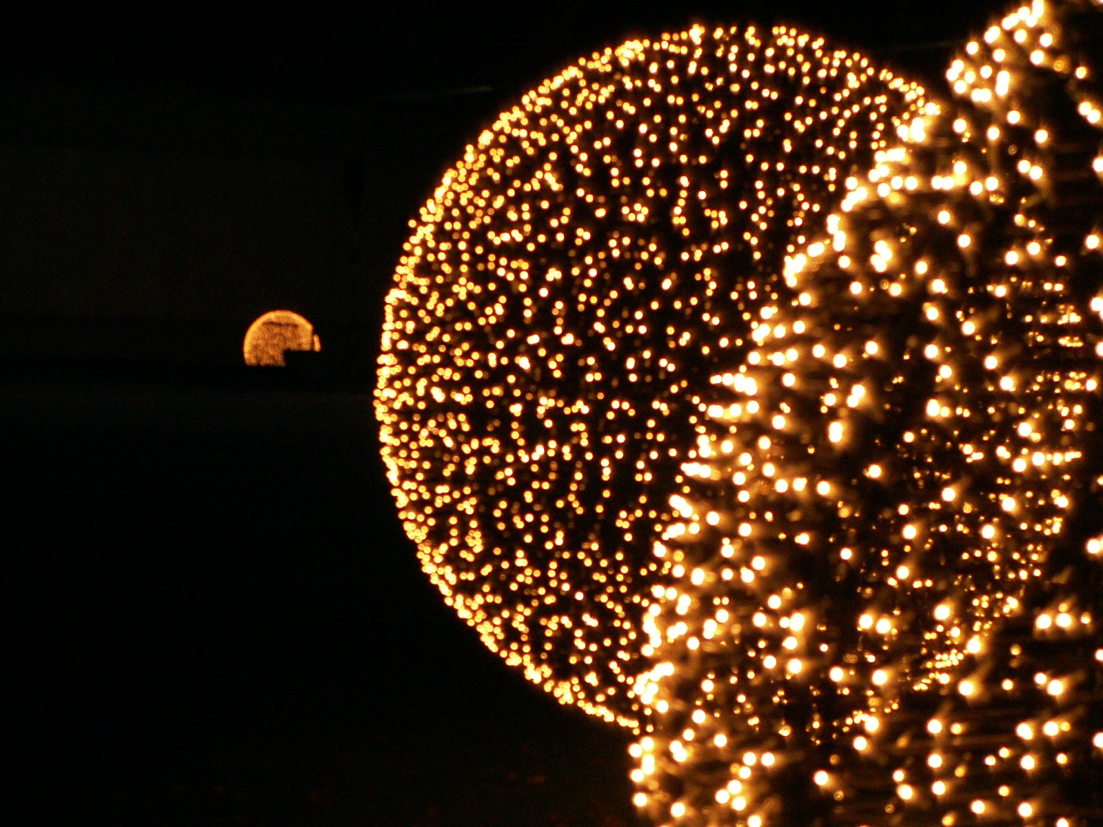 Iluminações de Natal . Fundação Calouste Gulbenkian