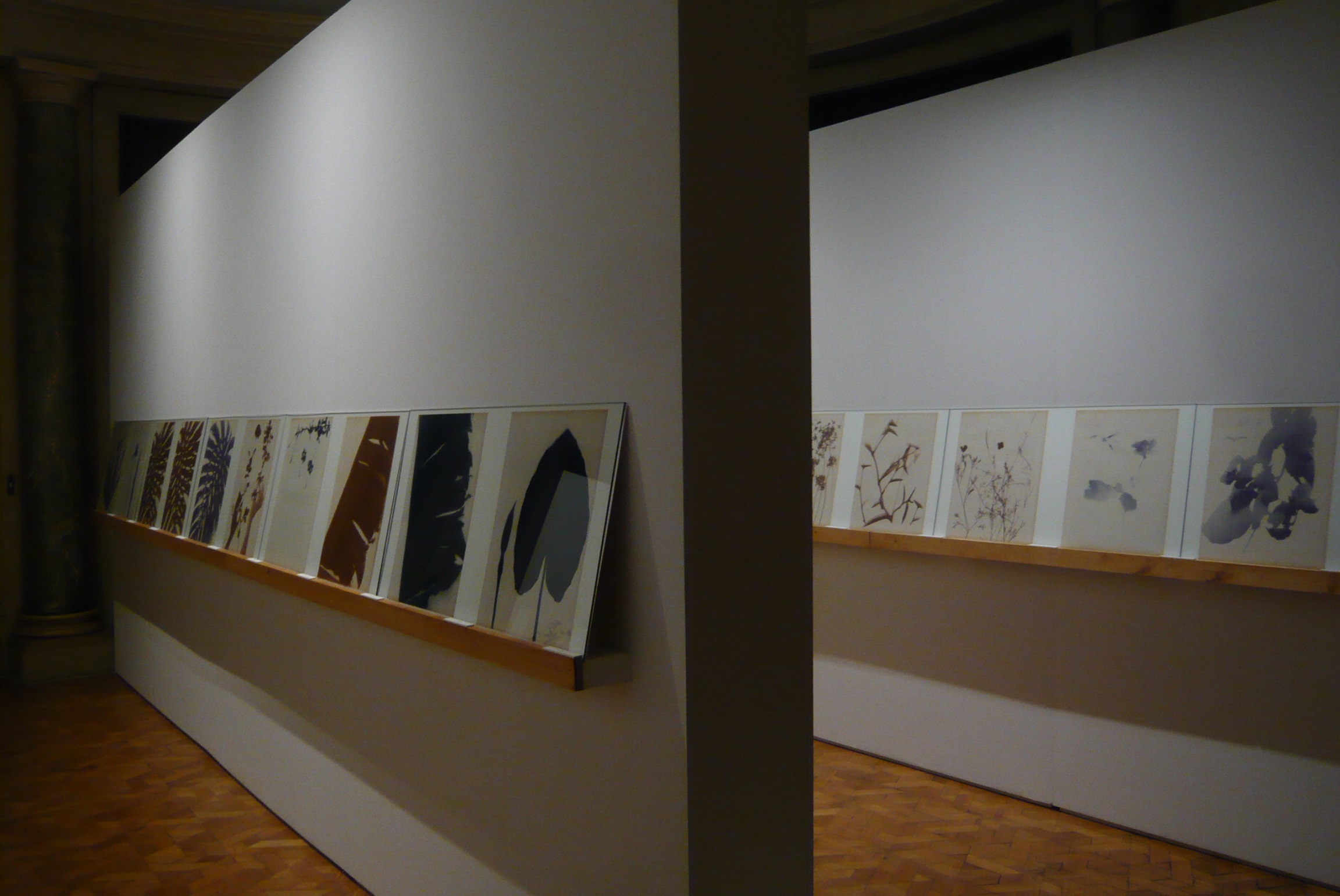 Exposição Le Grand Herbier d'Ombres - Lourdes Castro . Fundação Calouste Gulbenkian